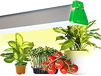 Светодиодный фитолампы 30-50 Вт